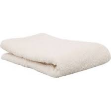 TOALLA PARA TRAPEAR *PREMIER* 21X42